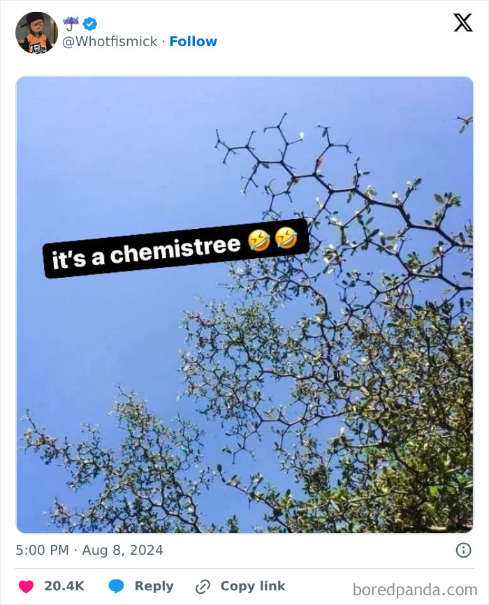 Funny-Random-Relatable-Memes