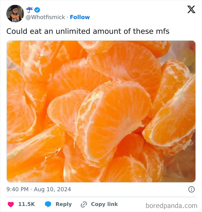 Funny-Random-Relatable-Memes