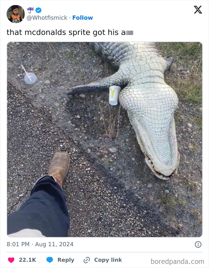 Funny-Random-Relatable-Memes