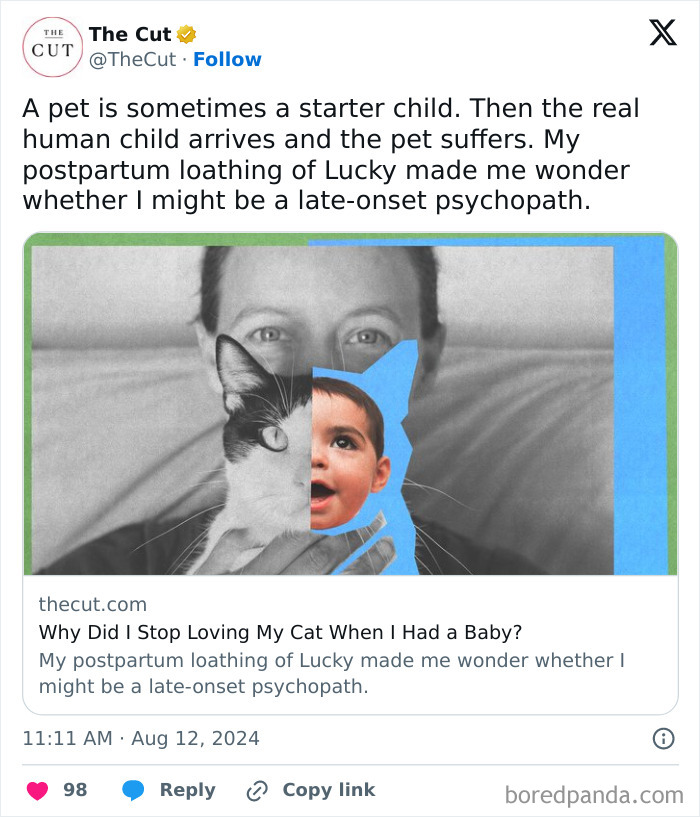 &ldquo;Psychopath&rdquo; Mom Exposes Her Own Neglect Towards Her Cat In A Viral Op-Ed, Sparks Outrage