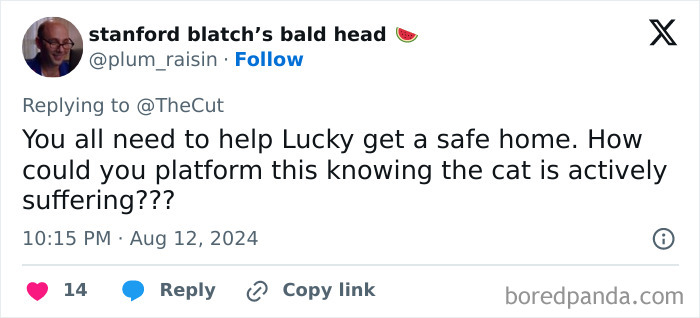 &ldquo;Psychopath&rdquo; Mom Exposes Her Own Neglect Towards Her Cat In A Viral Op-Ed, Sparks Outrage