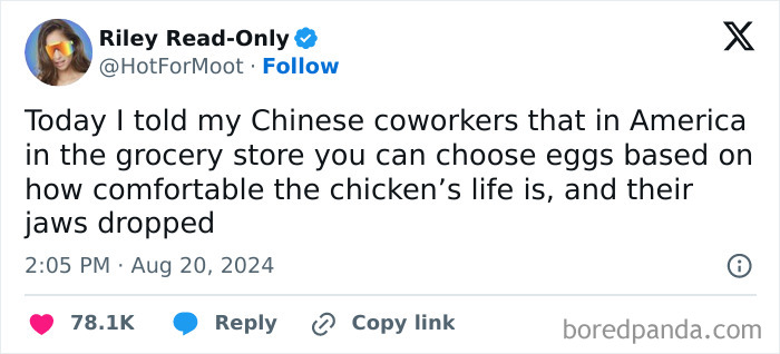 Funny-August-Tweets-Online-Pic