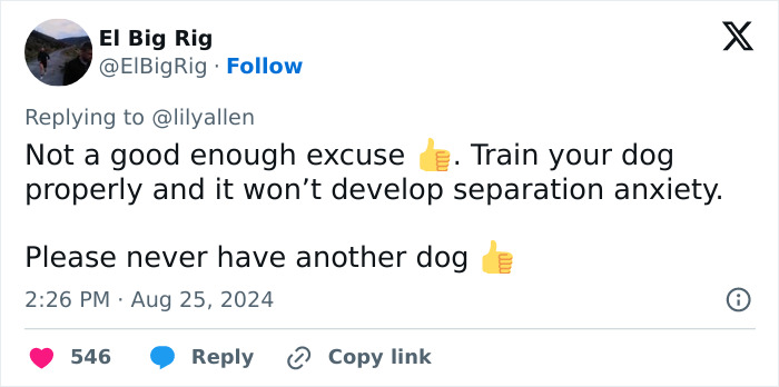 Lily Allen Refuses To Back Down After Receiving Backlash For &ldquo;Dumping&rdquo; Dog That Ate Her Passport