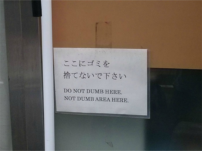 Funny-Reaction-Memes-Acting-Dumb