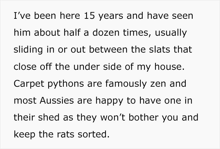 Python Lives Peacefully Under Woman’s House for Years, Neighbor Suddenly Insists on Removing It Python Lives Peacefully Under Woman’s House for Years, Neighbor Suddenly Insists on Removing It