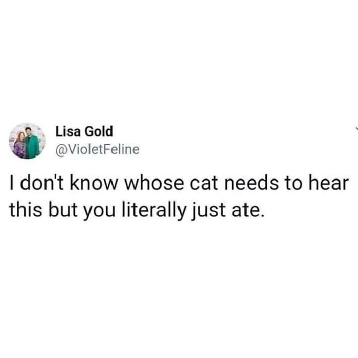 Funny-Cats-Being-Jerks-Memes