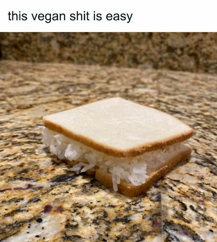 Funny-Memes-Mememanmyles