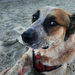 5420c1dd0d42d avatar