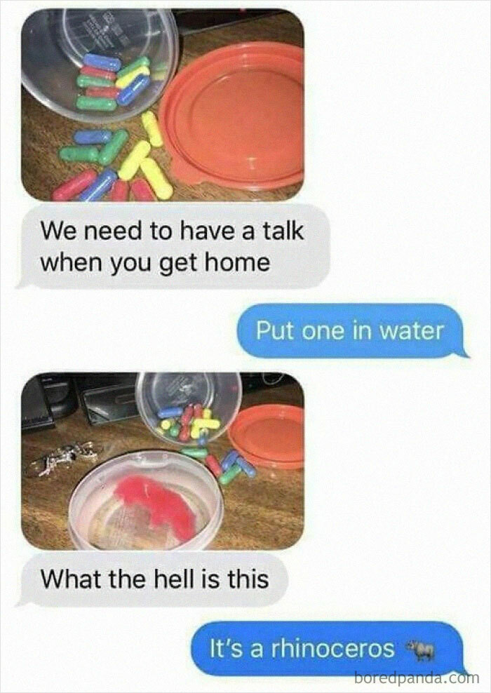 Hilarious-Random-Memes-Thesafewordisavocado