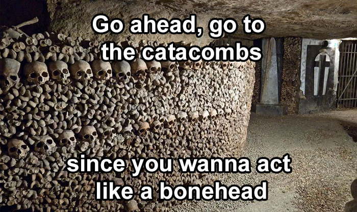 Funny-Reaction-Memes-Acting-Dumb