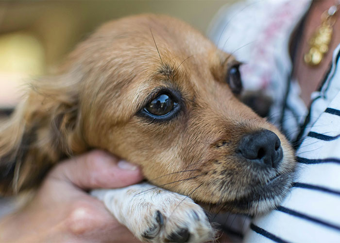 “My Stepdad Catfished Me”: 45 Deeply Disturbing Experiences That Left People Struggling