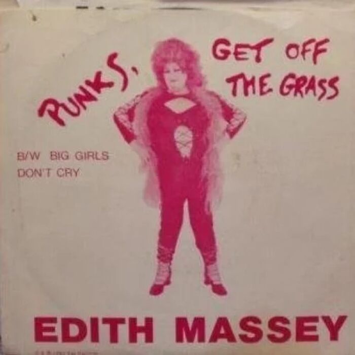 Punkis fuera del césped