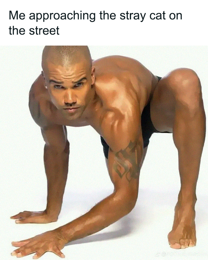 Funny-Memes-Mememanmyles