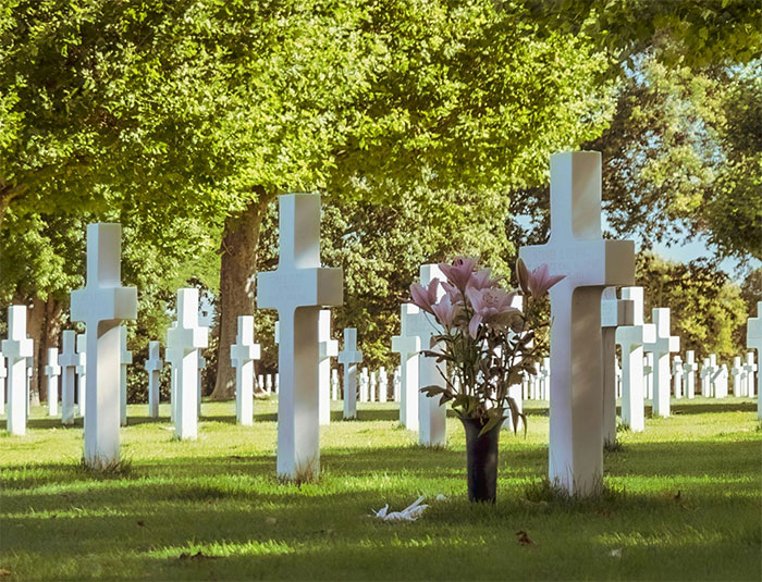 Man Thinks He Won, But Sister Planted Revenge That Will Commence At His Death Man Thinks He Won, But Sister Planted Revenge That Will Commence At His Death