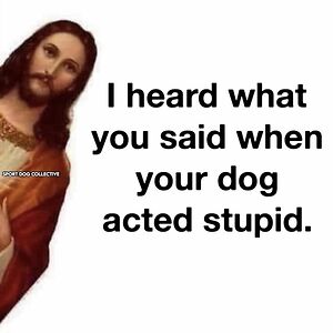 shalviastreasures avatar