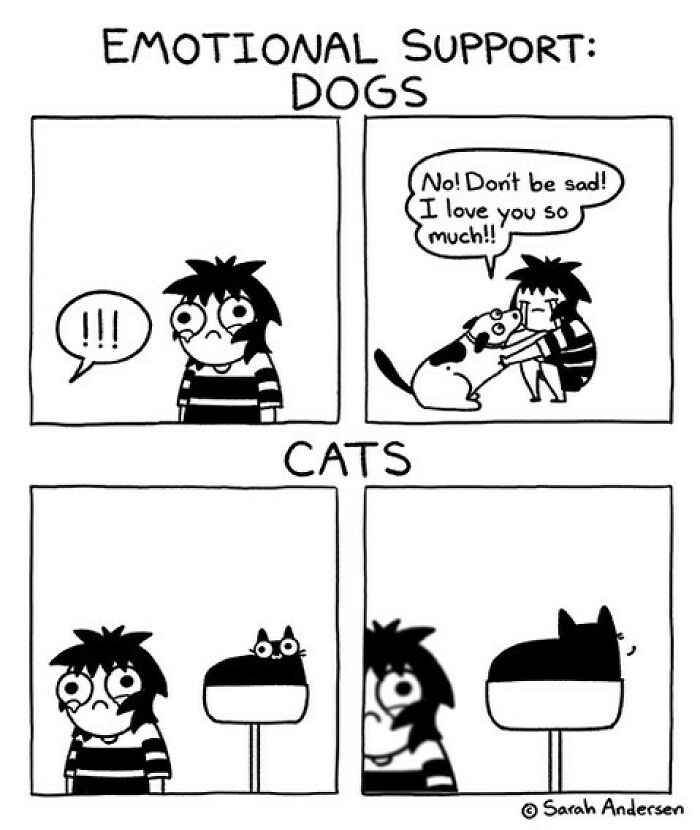 Comics About Life As An Introvert By Sarah Andersen