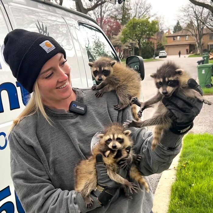 This Wildlife Control Company Earns Praise For Their Humane Solutions This Wildlife Control Company Earns Praise For Their Humane Solutions