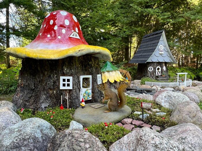 I Made A Tree Stump House I Made A Tree Stump House