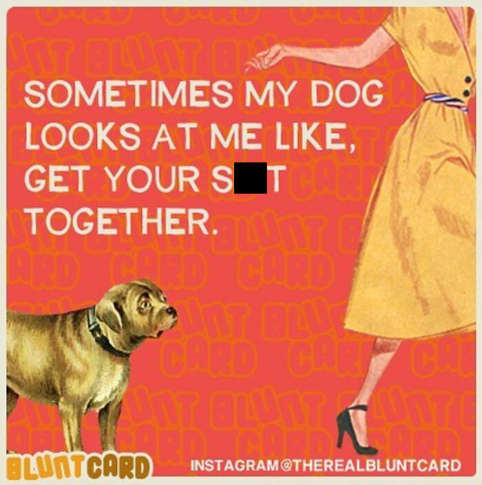 New Relatable ‘Bluntcards’ Featuring Dark Humor And A Pinch Of Sarcasm