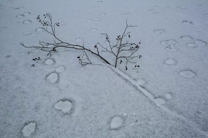 Beauty In Simplicity: 51 Beautiful Photos By Dimitris Makrygiannakis That May Resonate With You (New Pics)- Interview