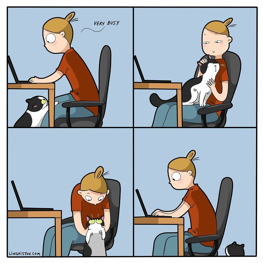 Artist Creates Funny Comics Capturing The Essence Of Living With A Cat (53 New Pics)