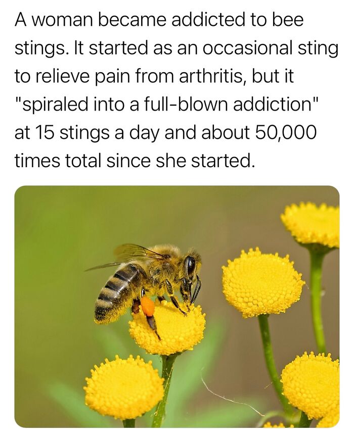 Interesting-Surprising-Facts