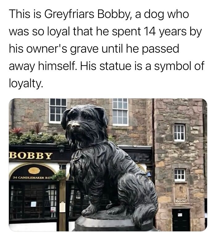 Interesting-Surprising-Facts