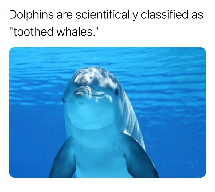 Interesting-Surprising-Facts