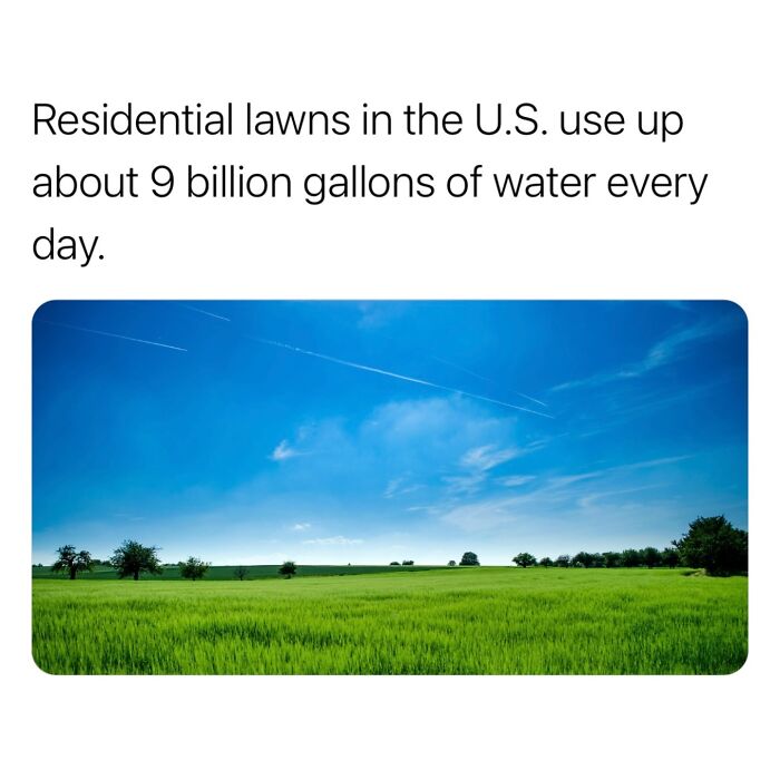 Interesting-Surprising-Facts