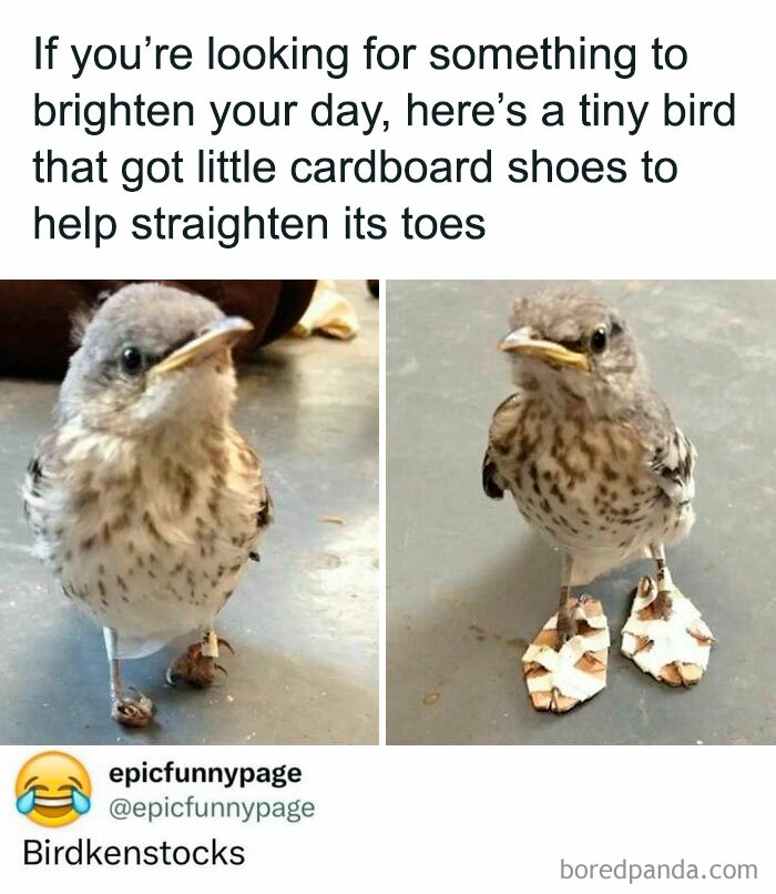 Epicfunnypage-Funny-Memes