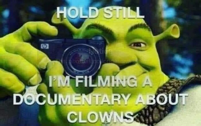 Funny-Reaction-Memes-Acting-Dumb