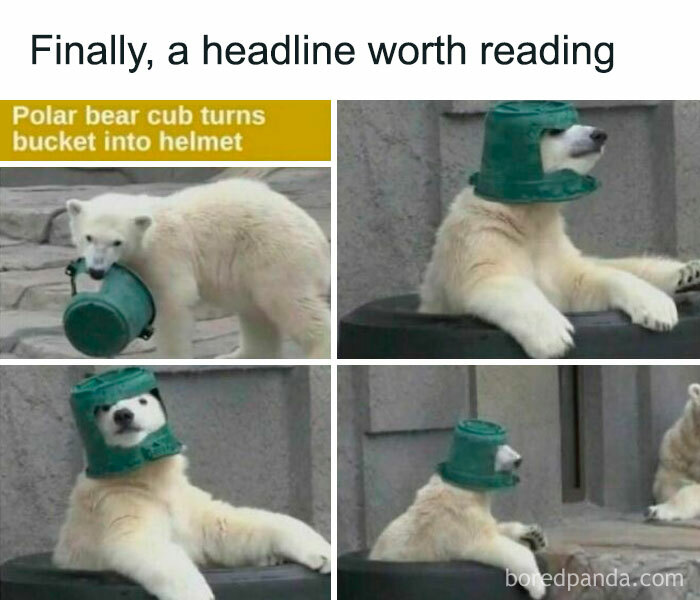 Epicfunnypage-Funny-Memes