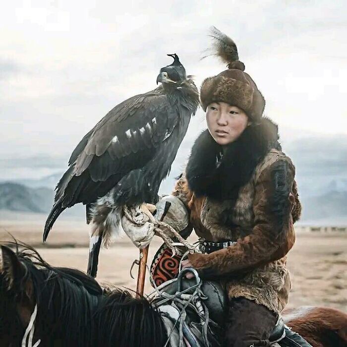 Mongolian Huntress With Her Eagle