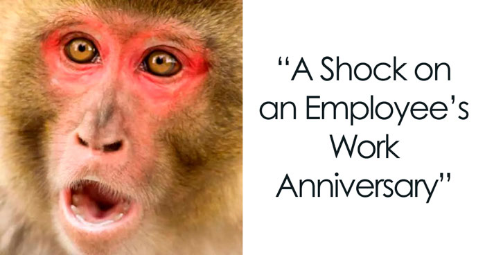 43 Hilarious Work Anniversary Memes That Hit Home