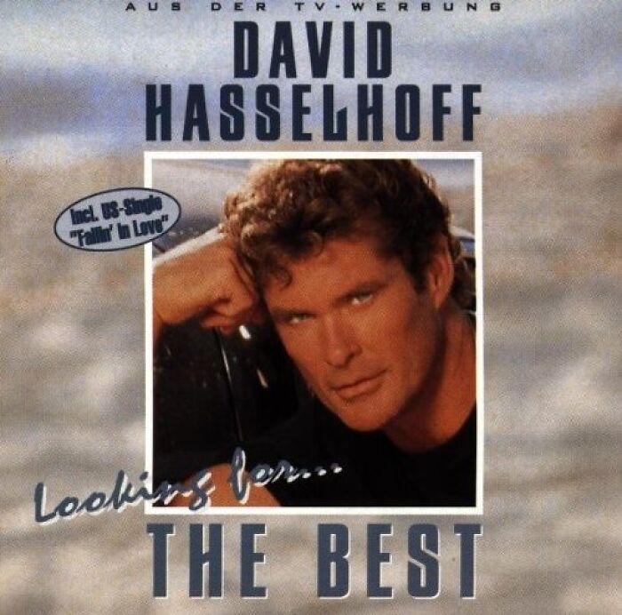 looking For-Best Of David Hasselhoff : This Reviewer Quickly Learned That One Should Never Hassle The Hoff