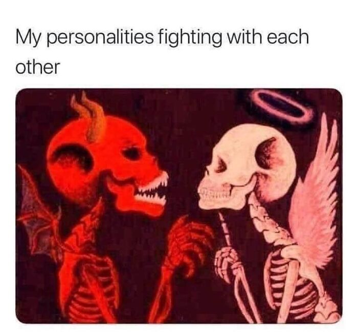 Hilarious-Funny-Random-Memes-Life-Pics