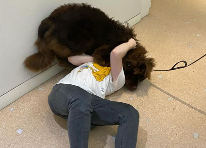 People Online Can&rsquo;t Get Enough Of Guy Who Rented A Billboard With A Humorous Ad To Get A Date