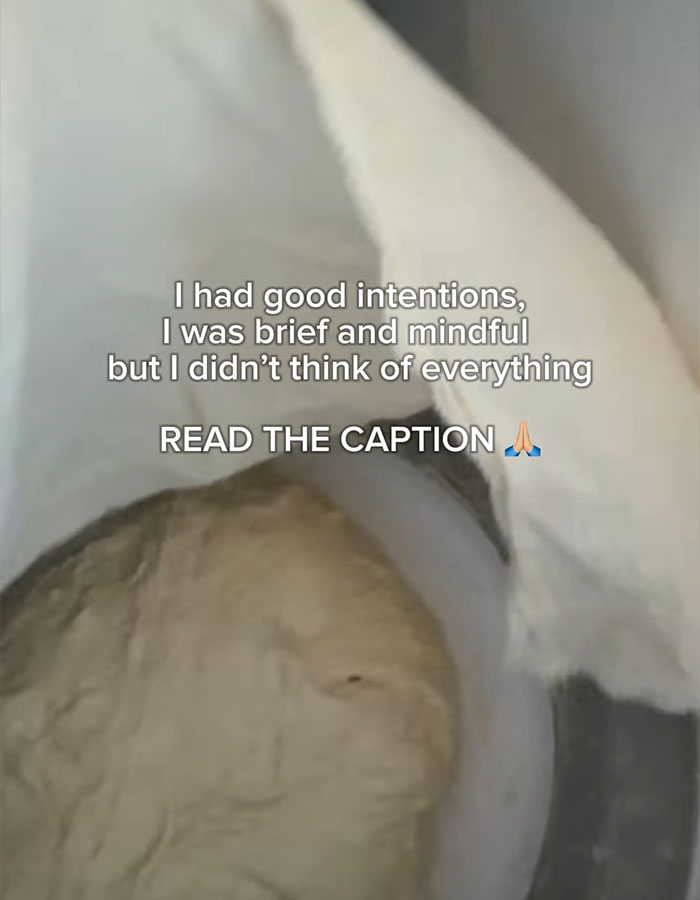 "Not The Best Idea": Influencer Apologizes After Baking Sourdough Mid-Flight