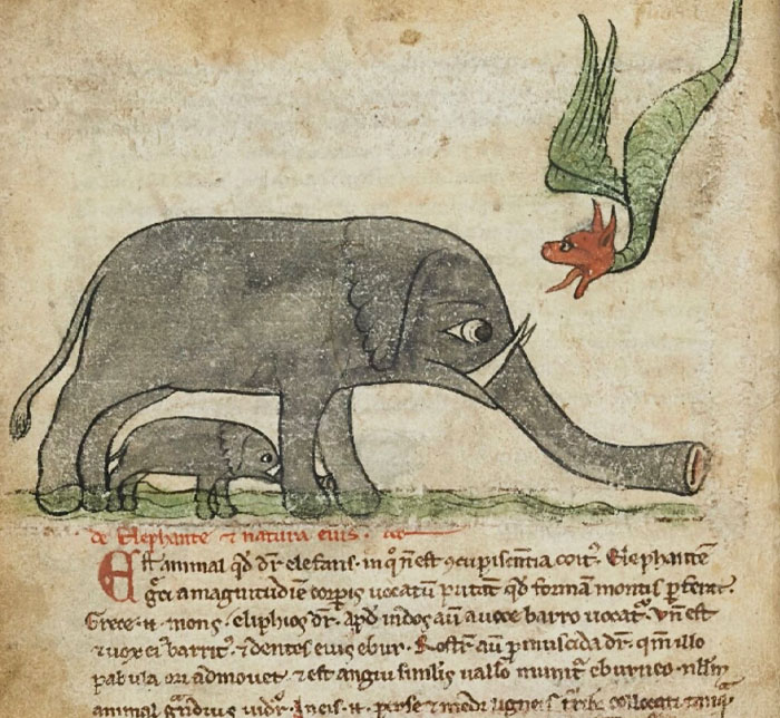 An Elephant Protecting Her Baby From A Dragon, 14th Century