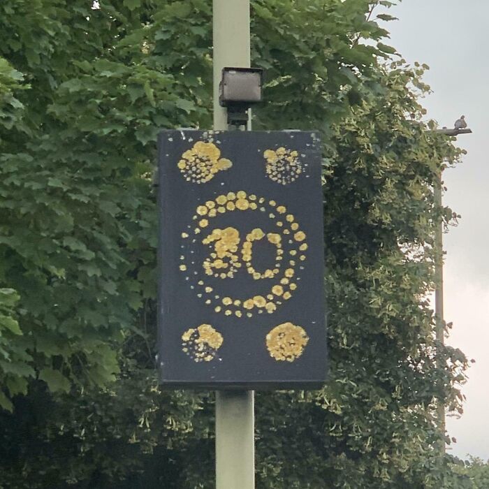 The Lichen On This Speed-Sensitive Road Sign Has Only Grown Over The LEDs