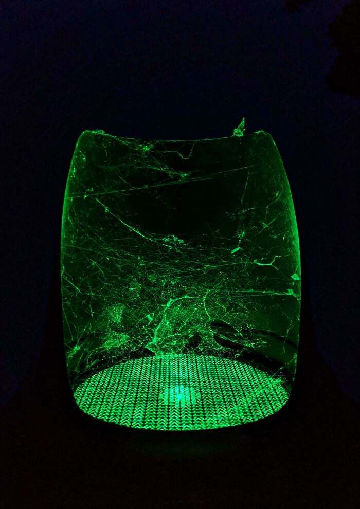 Glowing green cobweb inside a circular container providing a new perspective with light patterns.