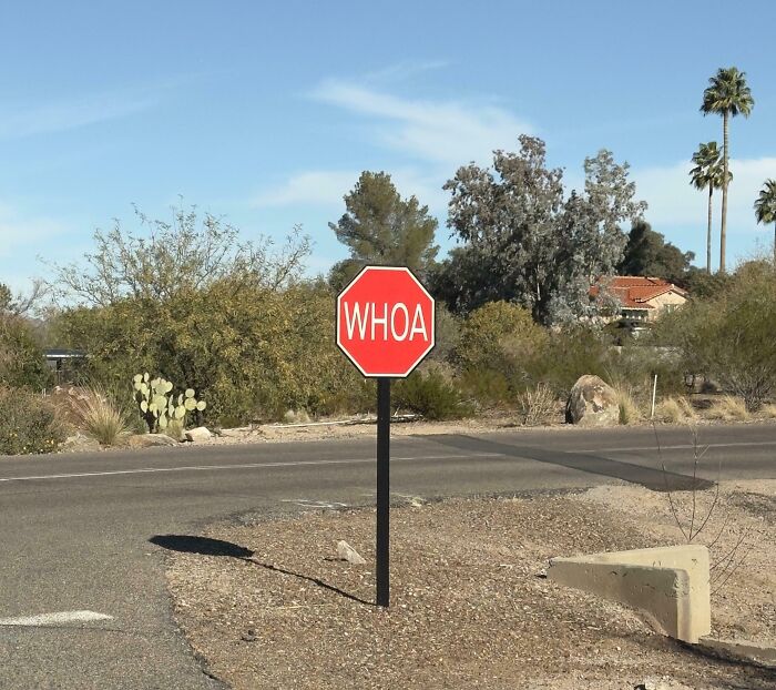 This Sign Says Whoa Instead Of Stop