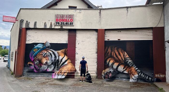 Man and dog standing in front of incredible 3D graffiti of a large tiger painted on garage doors in France.