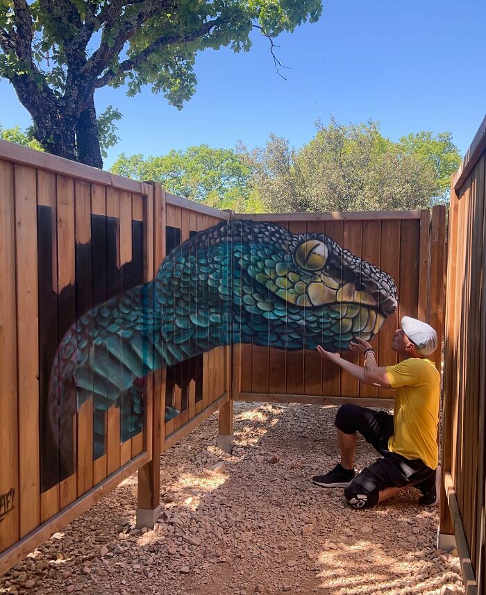 Artist from France creating incredible 3D graffiti of a large snake on wooden fence, interacting with the artwork outdoors.