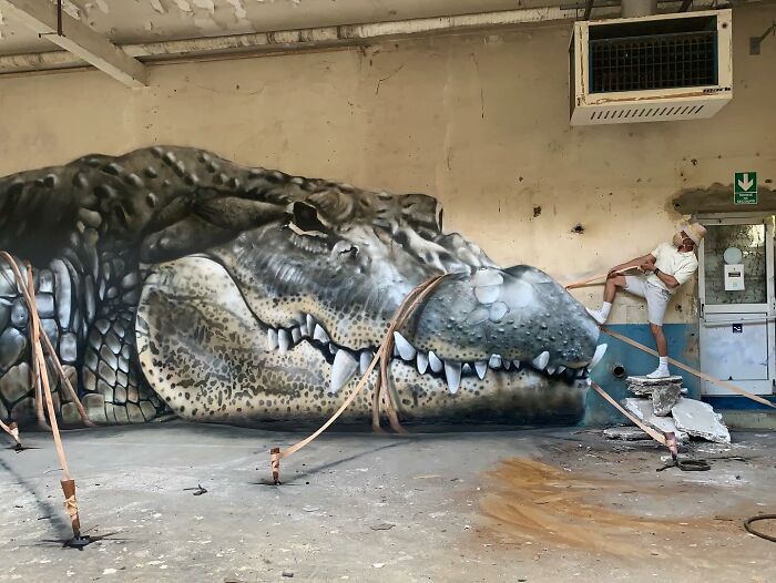 Artist from France poses with incredible 3D graffiti of a large crocodile inside an abandoned building.