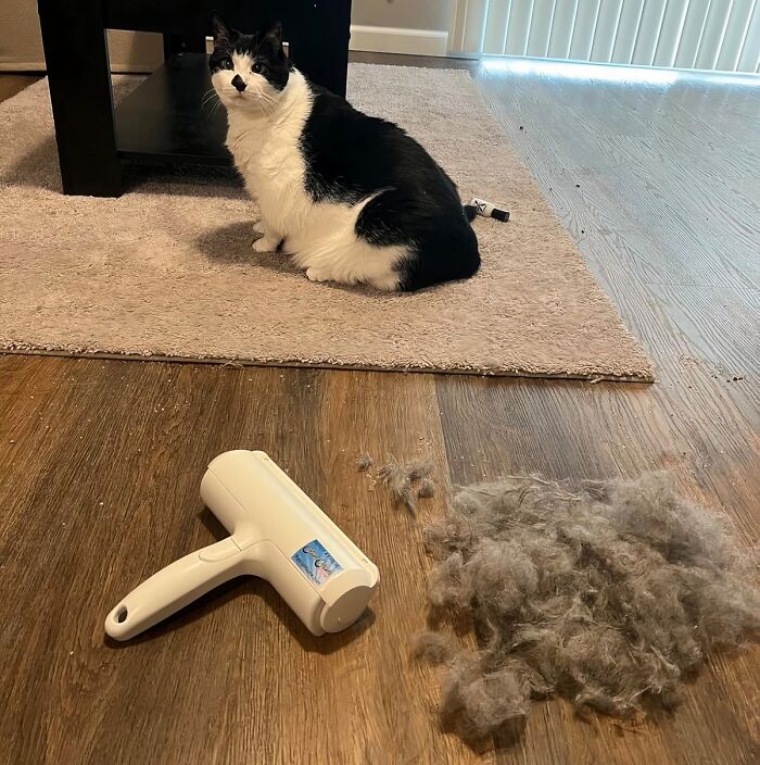 "Chom chom roller for removing pet hair from furniture and clothes. I have huskies and have tried so many different pet hair removal devices. Most are garbage. This thing is legit (full size and mini) and so much less wasteful than the tape rollers." - crispydetritus