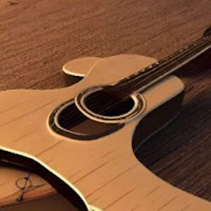 acousticgoonie avatar