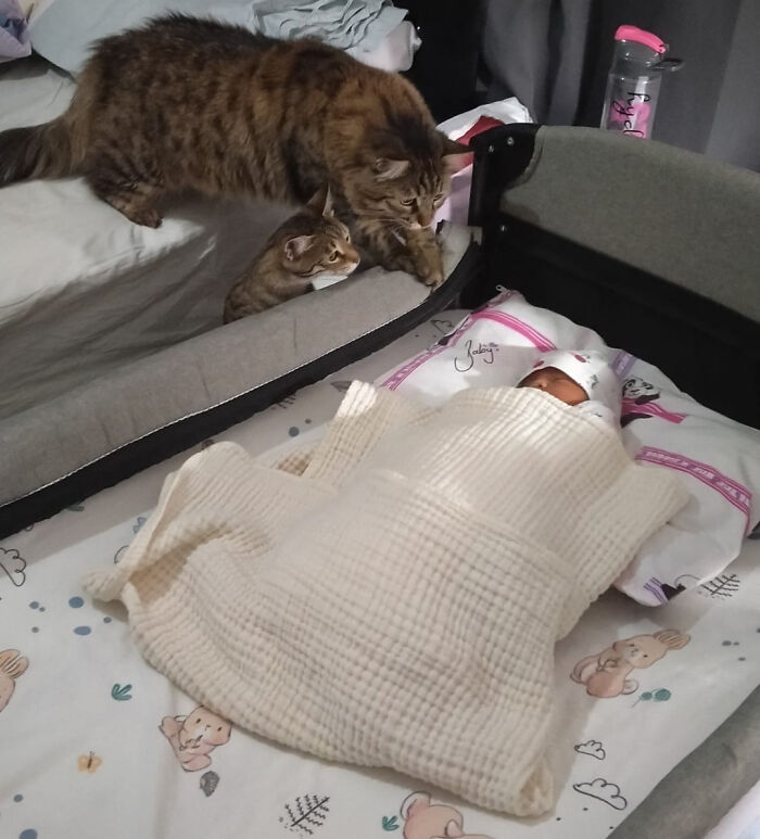 First Contact With My Newborn Daughter