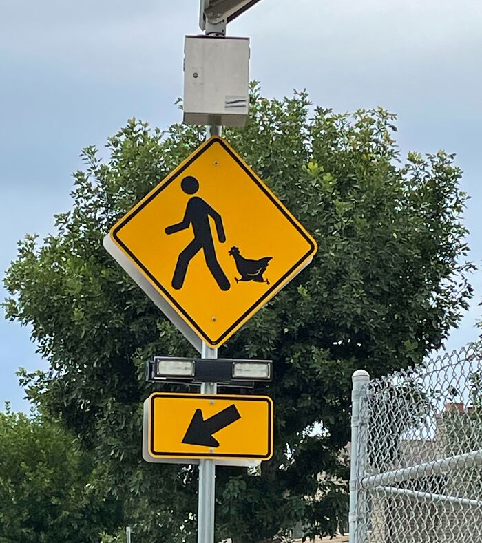 This Random Crosswalk Sign In My City Has A Chicken On It