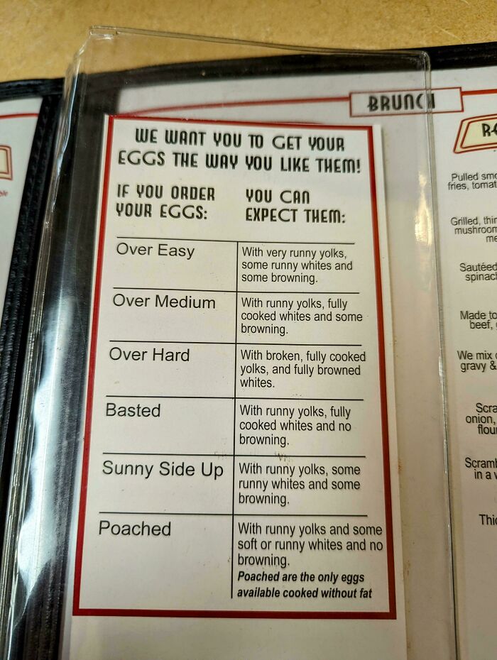 A Cool Guide About Eggs